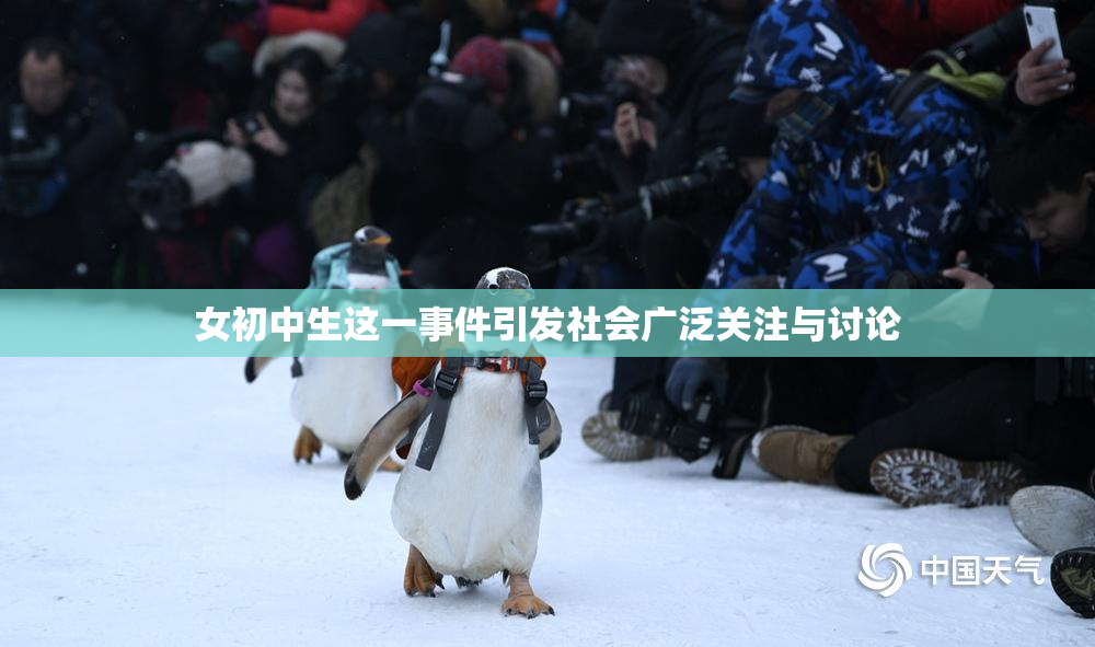 女初中生这一事件引发社会广泛关注与讨论
