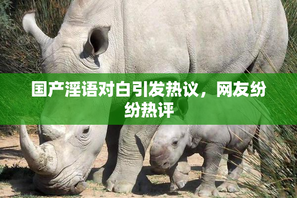 国产淫语对白引发热议，网友纷纷热评