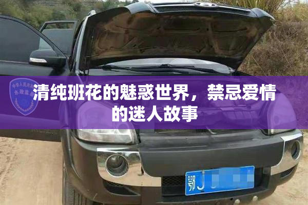 清纯班花的魅惑世界，禁忌爱情的迷人故事