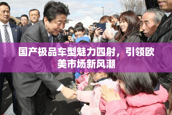 国产极品车型魅力四射，引领欧美市场新风潮