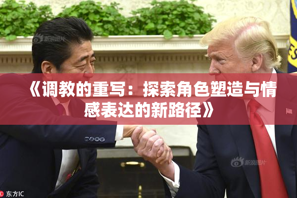 《调教的重写：探索角色塑造与情感表达的新路径》