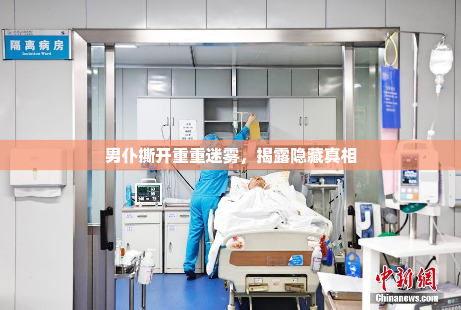 男仆撕开重重迷雾，揭露隐藏真相