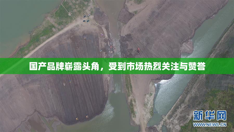 国产品牌崭露头角，受到市场热烈关注与赞誉