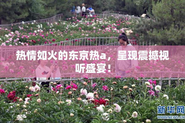 热情如火的东京热a，呈现震撼视听盛宴！