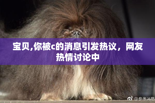 宝贝,你被c的消息引发热议，网友热情讨论中
