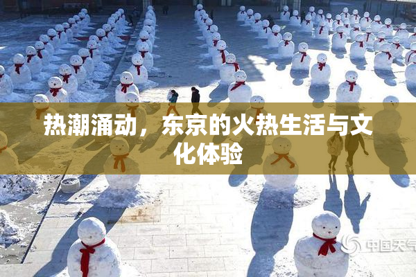 热潮涌动，东京的火热生活与文化体验