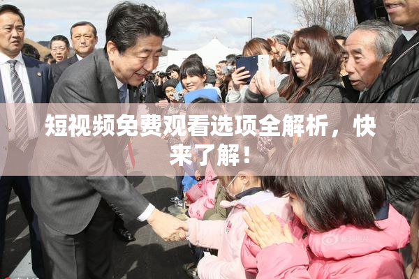 短视频免费观看选项全解析，快来了解！