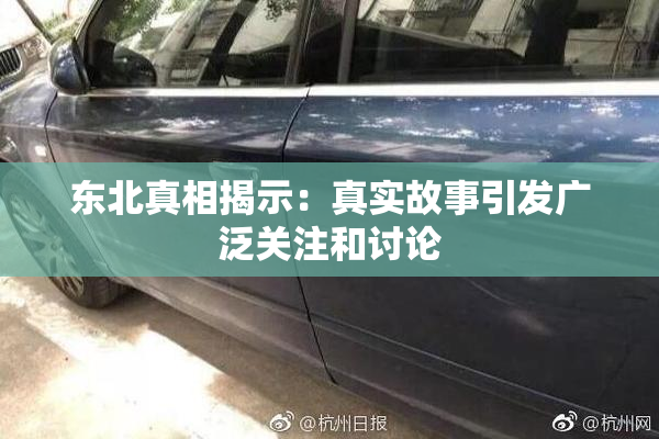 东北真相揭示：真实故事引发广泛关注和讨论
