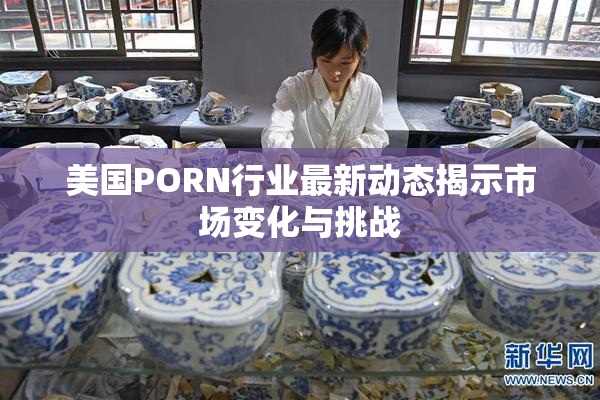美国PORN行业最新动态揭示市场变化与挑战