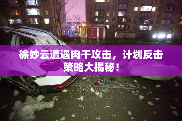 徐妙云遭遇肉干攻击，计划反击策略大揭秘！