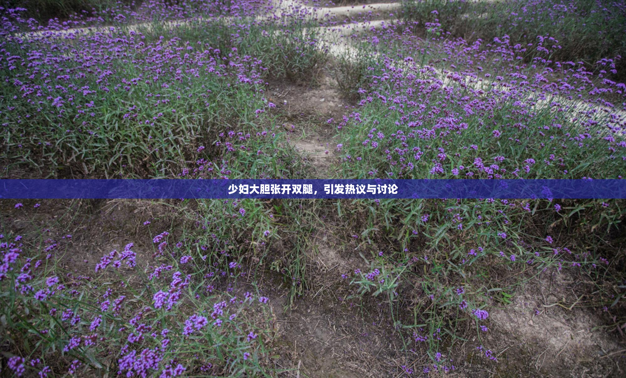少妇大胆张开双腿，引发热议与讨论