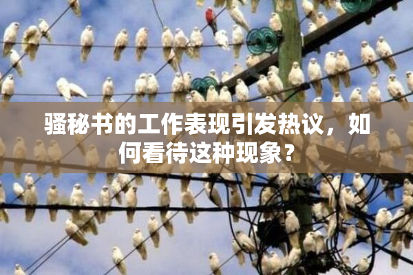 骚秘书的工作表现引发热议，如何看待这种现象？