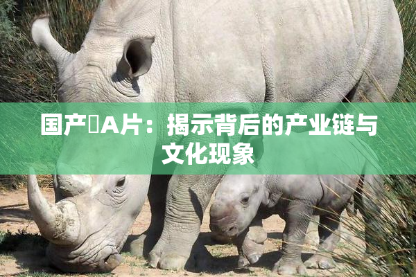 国产婬A片：揭示背后的产业链与文化现象