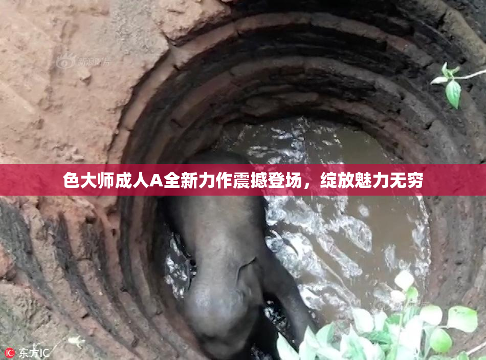 色大师成人A全新力作震撼登场，绽放魅力无穷