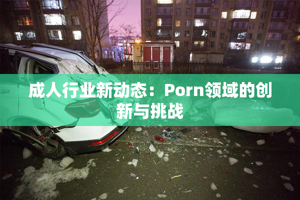 成人行业新动态：Porn领域的创新与挑战