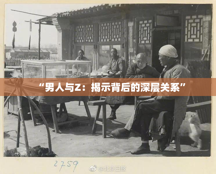 “男人与Z：揭示背后的深层关系”