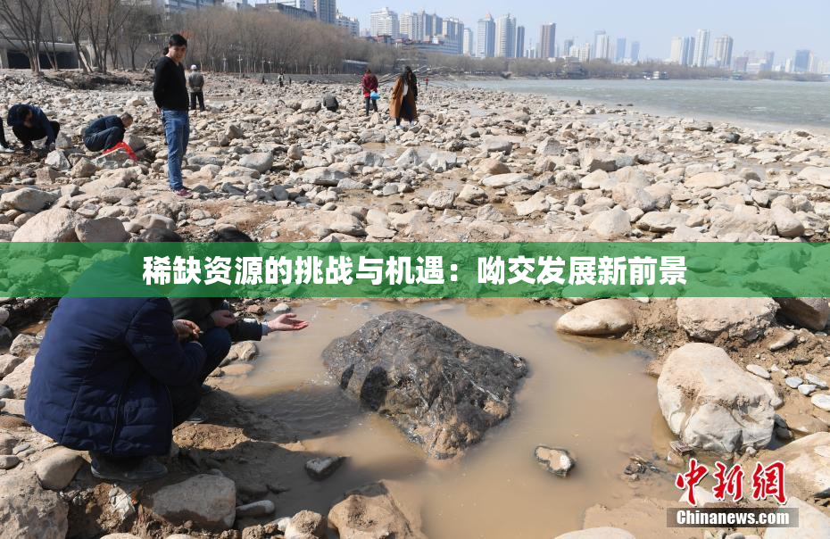 稀缺资源的挑战与机遇：呦交发展新前景