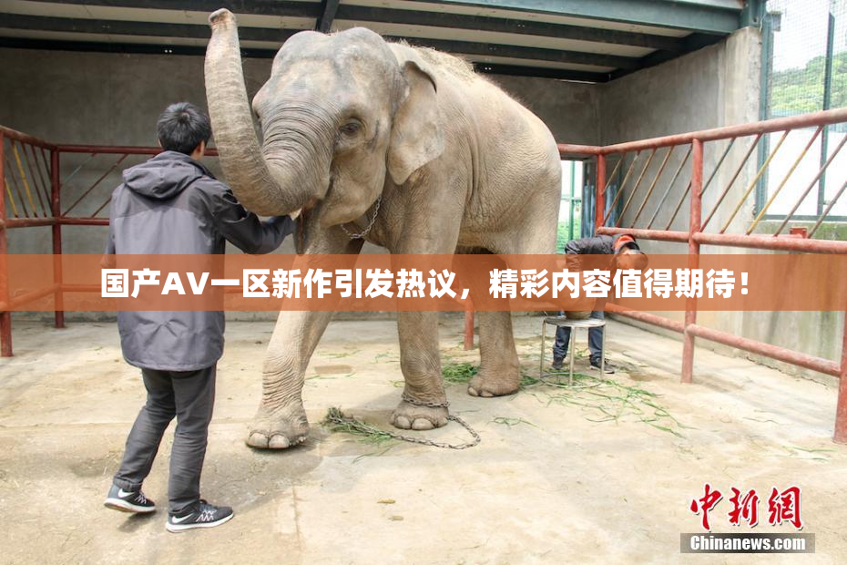 国产AV一区新作引发热议，精彩内容值得期待！