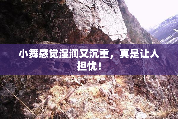 小舞感觉湿润又沉重，真是让人担忧！