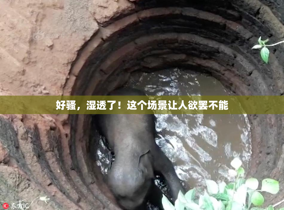 好骚，湿透了！这个场景让人欲罢不能