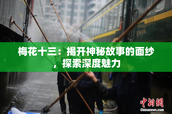 梅花十三：揭开神秘故事的面纱，探索深度魅力
