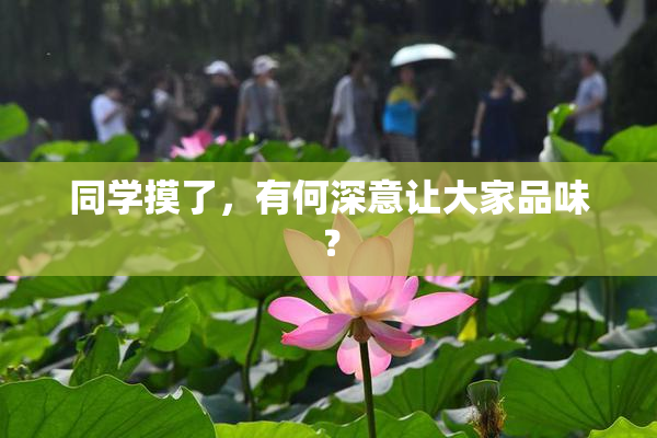 同学摸了，有何深意让大家品味？