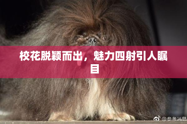 校花脱颖而出，魅力四射引人瞩目