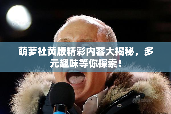 萌萝社黄版精彩内容大揭秘，多元趣味等你探索！