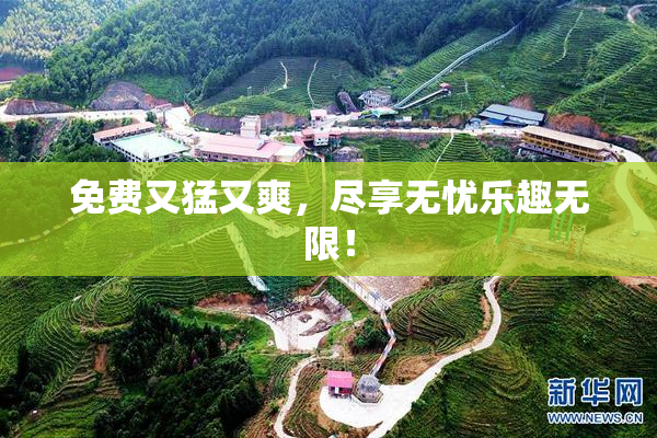免费又猛又爽，尽享无忧乐趣无限！
