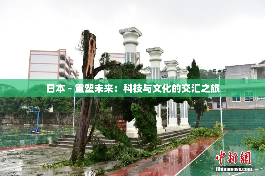 日本 - 重塑未来：科技与文化的交汇之旅