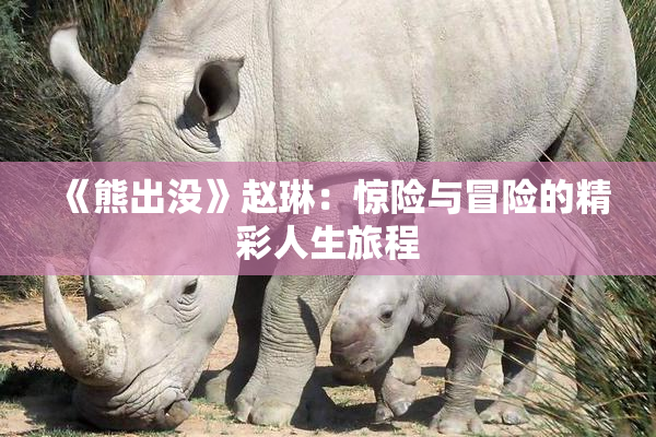 《熊出没》赵琳：惊险与冒险的精彩人生旅程