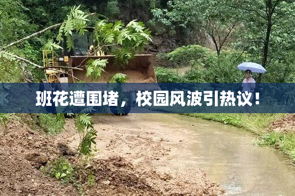 班花遭围堵，校园风波引热议！