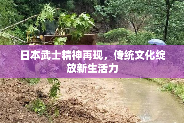 日本武士精神再现，传统文化绽放新生活力