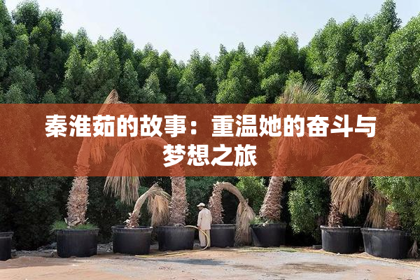 秦淮茹的故事：重温她的奋斗与梦想之旅