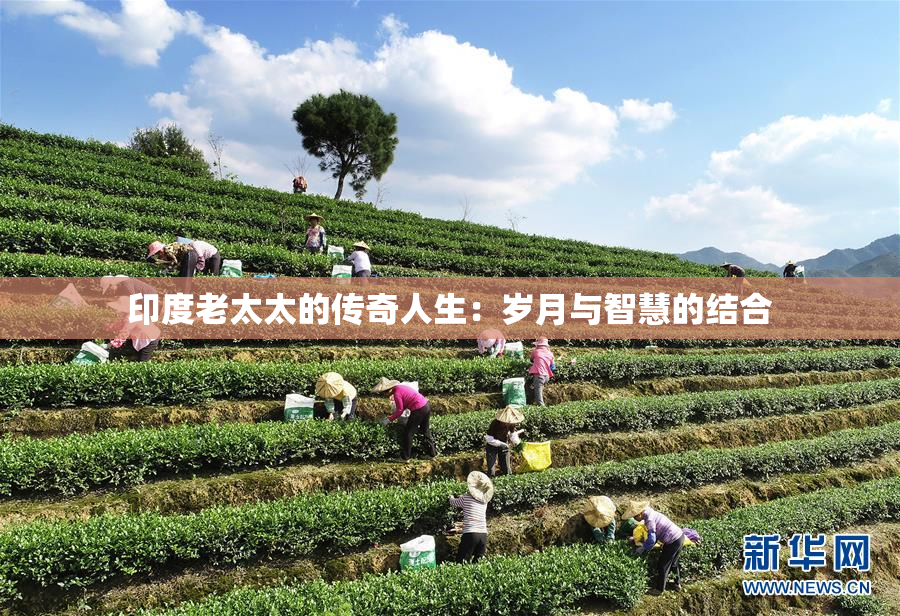 印度老太太的传奇人生：岁月与智慧的结合