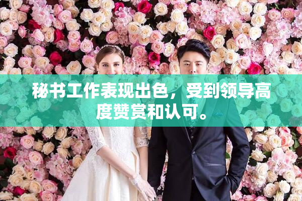 秘书工作表现出色，受到领导高度赞赏和认可。
