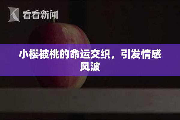 小樱被桃的命运交织，引发情感风波