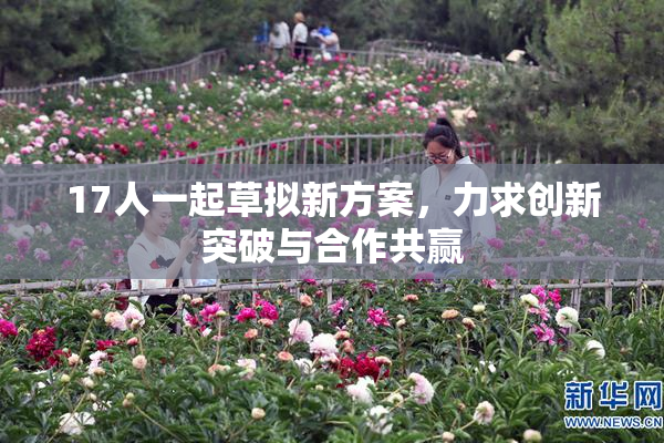 17人一起草拟新方案，力求创新突破与合作共赢