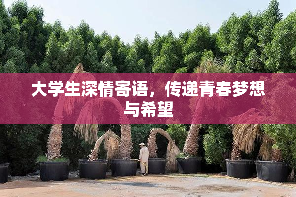 大学生深情寄语，传递青春梦想与希望