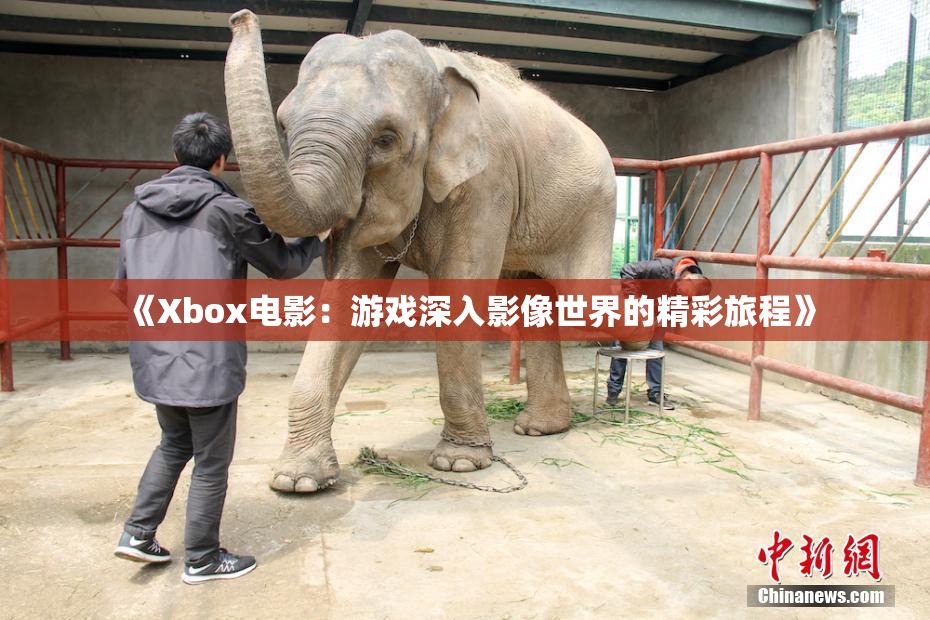 《Xbox电影：游戏深入影像世界的精彩旅程》