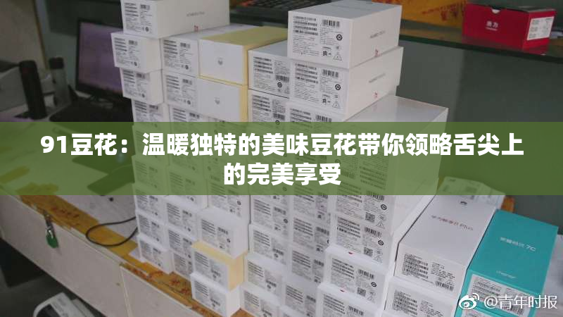 91豆花：温暖独特的美味豆花带你领略舌尖上的完美享受