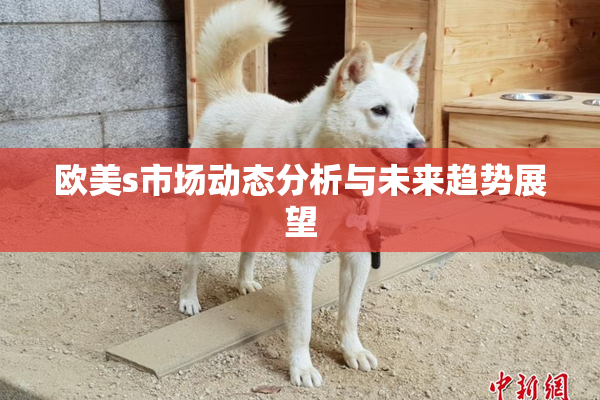 欧美s市场动态分析与未来趋势展望