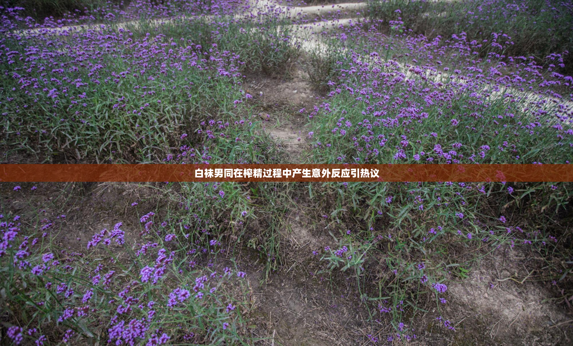 白袜男同在榨精过程中产生意外反应引热议