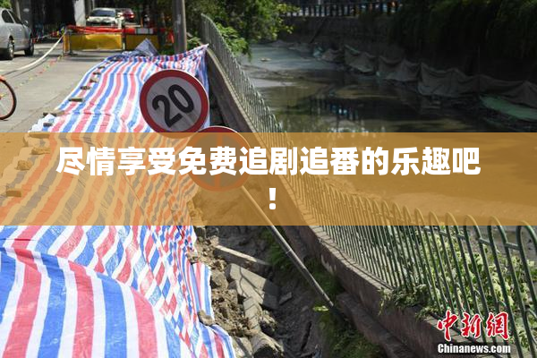 尽情享受免费追剧追番的乐趣吧！