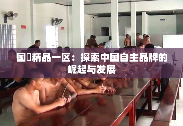 国產精品一区：探索中国自主品牌的崛起与发展