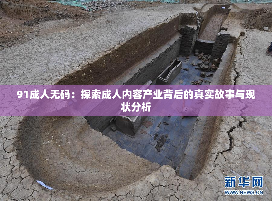 91成人无码：探索成人内容产业背后的真实故事与现状分析