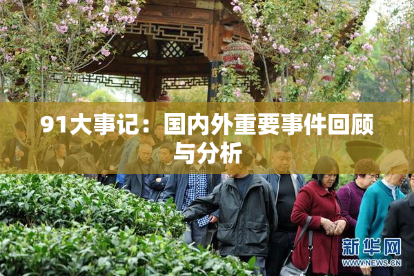 91大事记：国内外重要事件回顾与分析