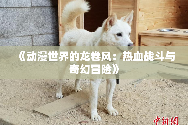 《动漫世界的龙卷风：热血战斗与奇幻冒险》