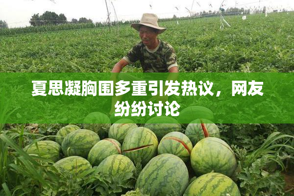 夏思凝胸围多重引发热议，网友纷纷讨论