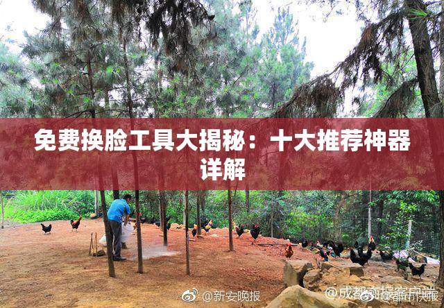 免费换脸工具大揭秘：十大推荐神器详解